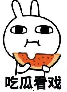 每日吃瓜院长,揭秘娱乐圈幕后故事