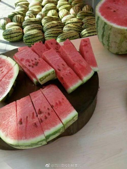 吃瓜成都郫县,吃瓜者的美食天堂