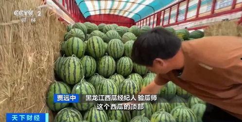 娱乐718吃瓜入口