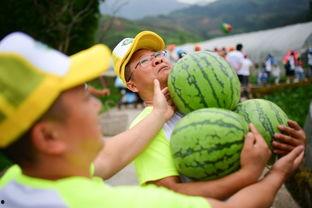 吃瓜群众挑战全集